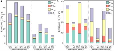 Wetland soil organic carbon balance is reversed by old carbon and iron oxide additions